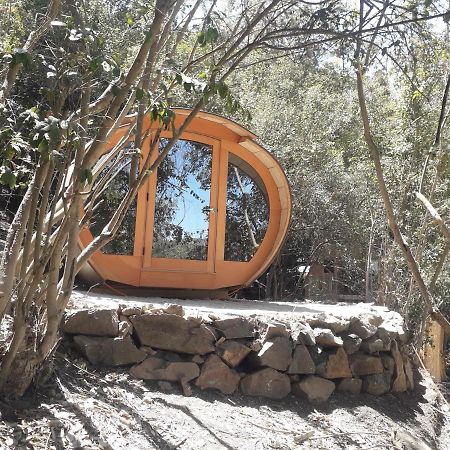 Biosfera Lodge Ольмуэ Экстерьер фото