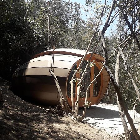 Biosfera Lodge Ольмуэ Экстерьер фото