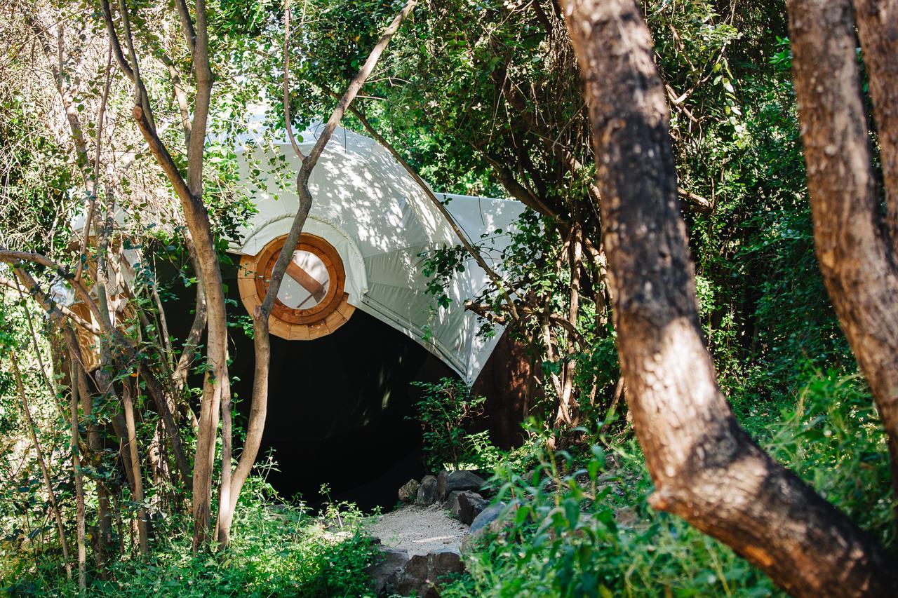 Biosfera Lodge Ольмуэ Экстерьер фото